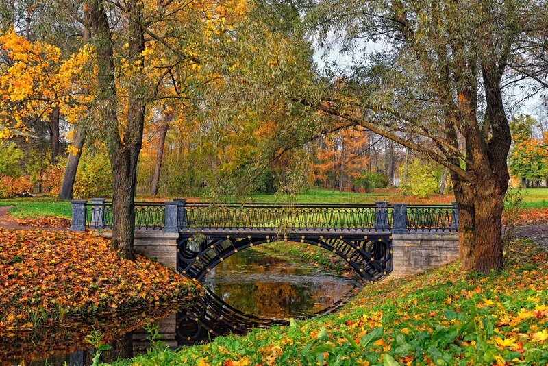 Iron Bridge in Autumn Park