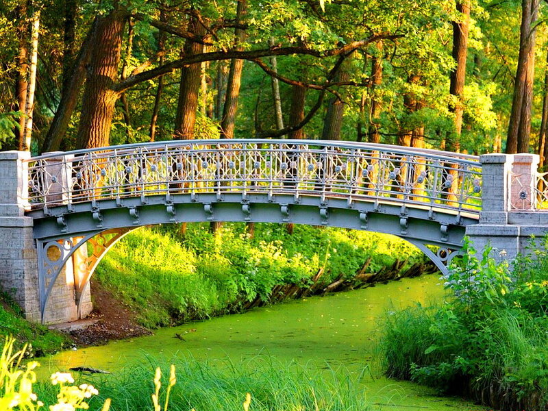 Iron Bridge in Forest