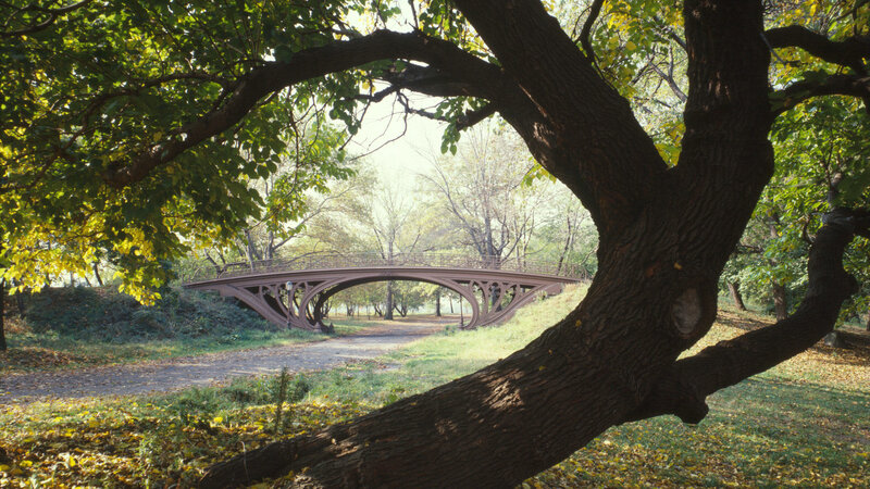 Iron Bridge in Park — Green, Serene