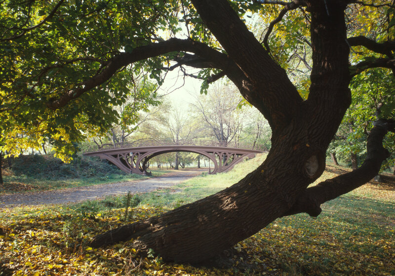 Iron Bridge in Park — Green