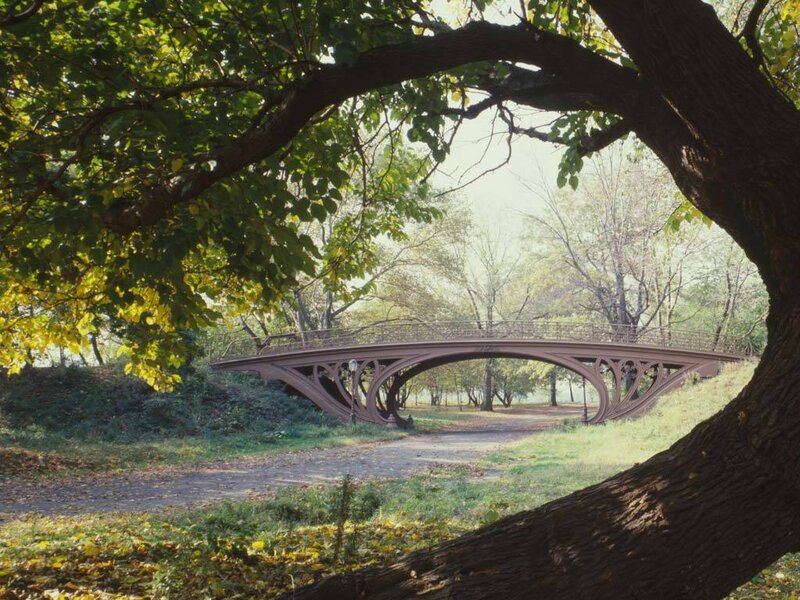 Iron Bridge in Park