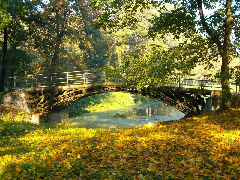 Iron Bridge in Park — Yellow