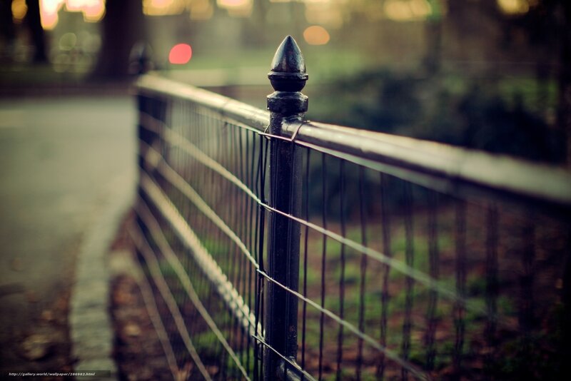 iron fence in park at dusk