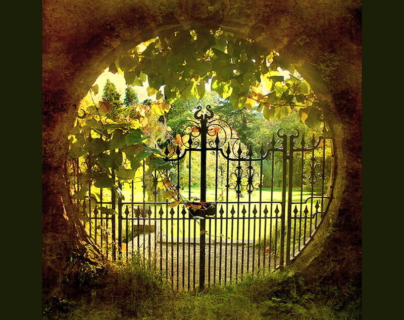 Iron Gate Through Archway