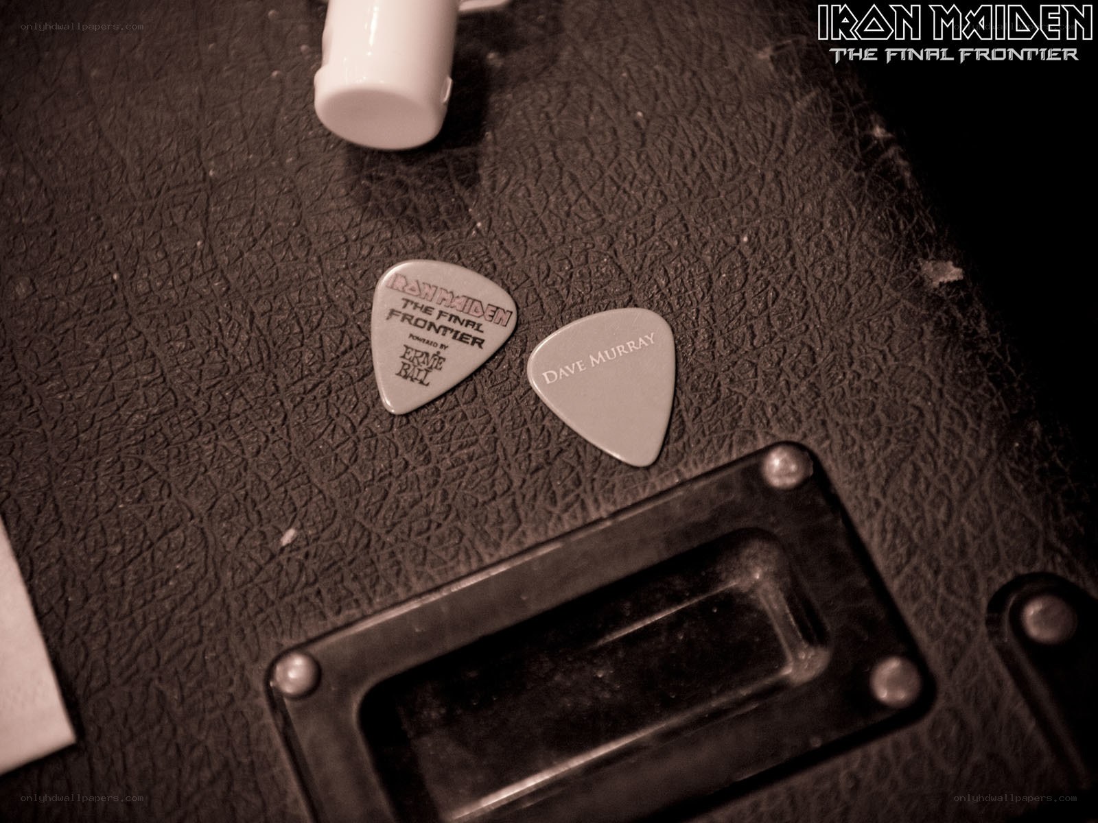 Iron Maiden guitar picks