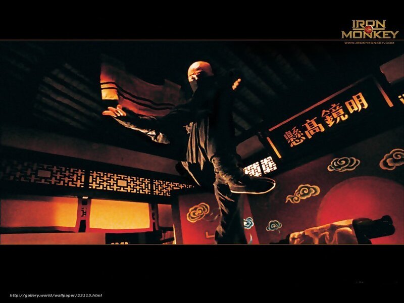 Iron Monkey martial arts scene