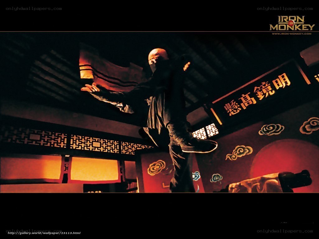 Iron Monkey martial arts scene