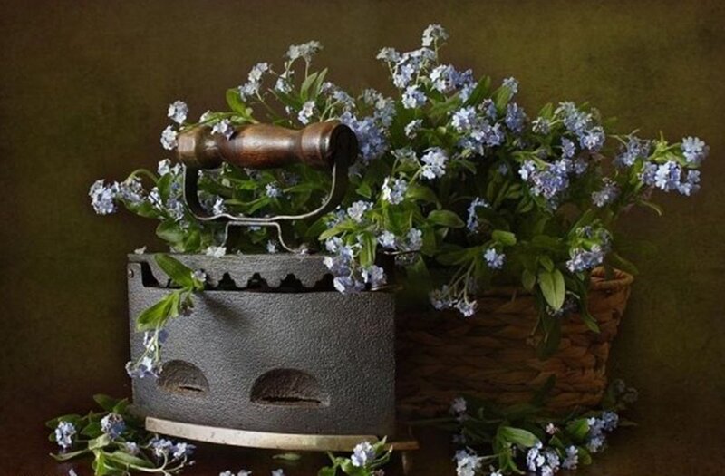 Iron with Flowers