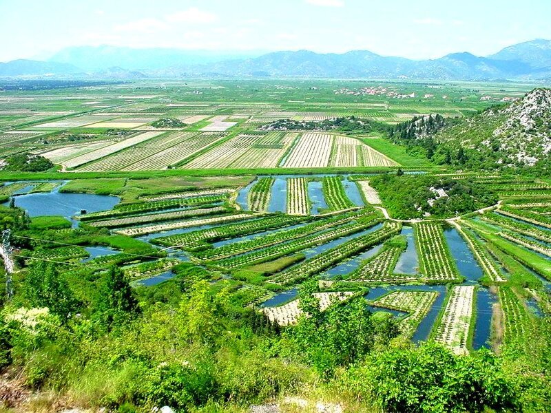 Irrigated Fields and Canals