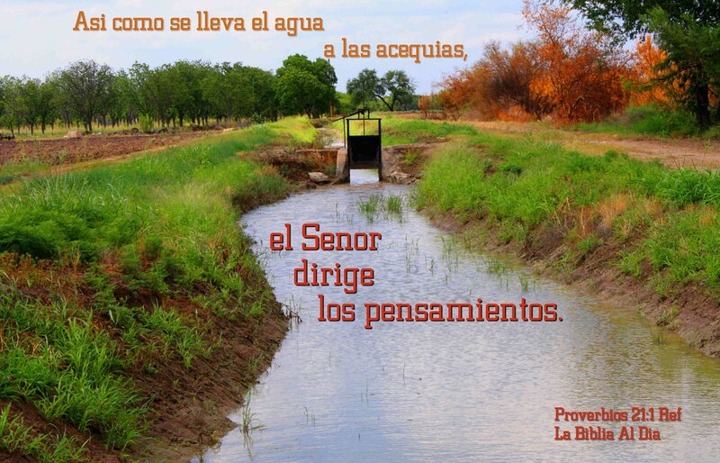 Irrigation Canal in Field — Green