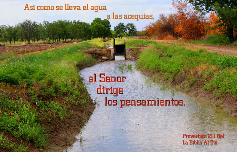 Irrigation Canal with Water