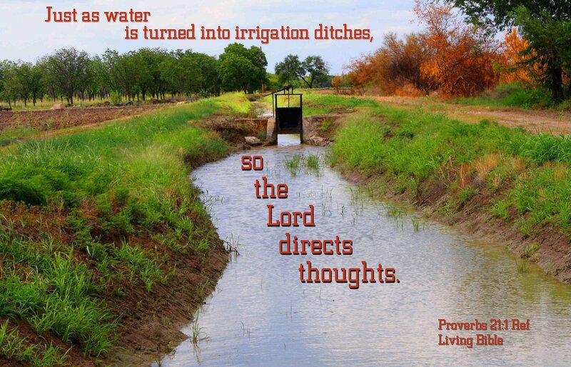Irrigation Ditch in Field — Green