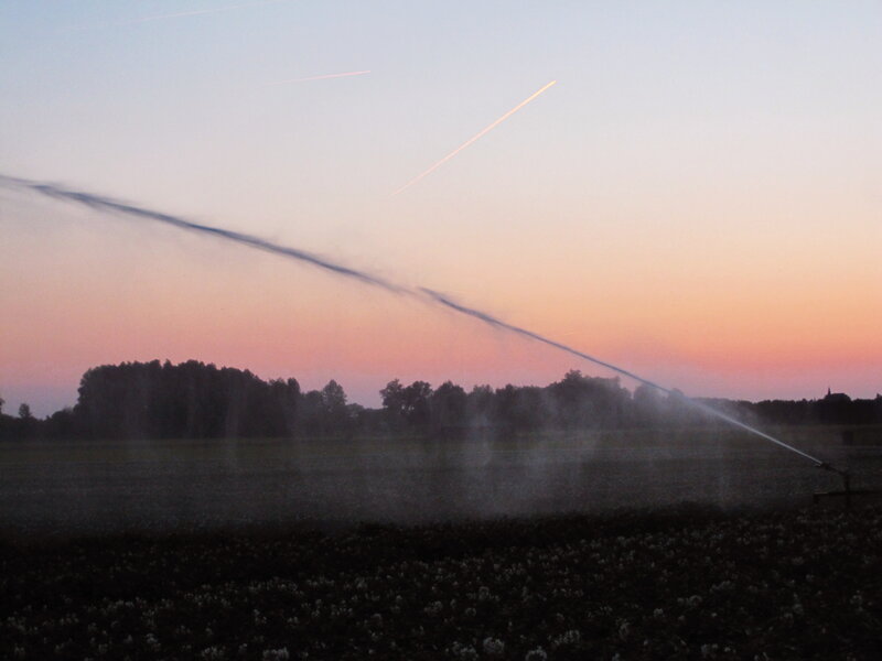Irrigation System in Field — Pink