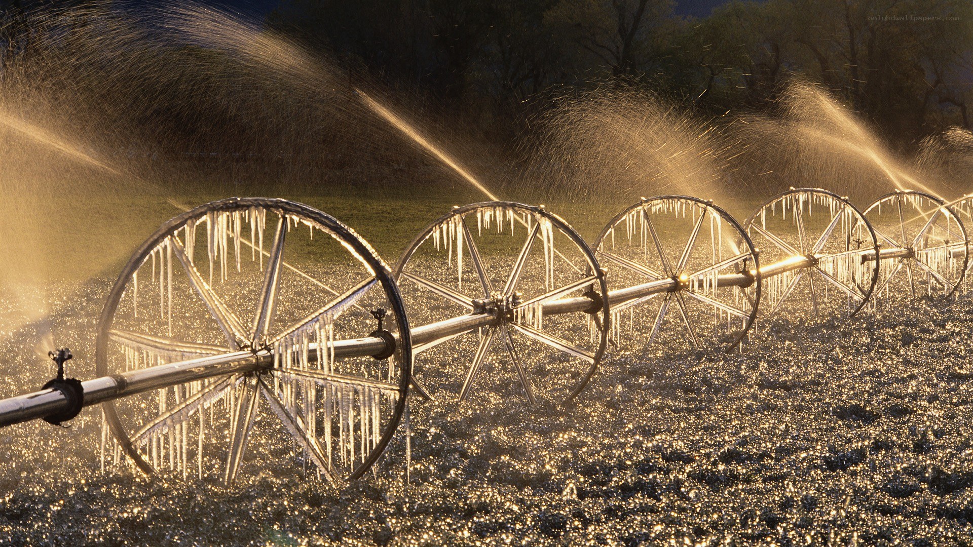 Irrigation system in field