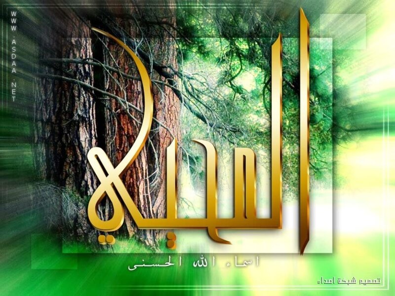 Islamic calligraphy with tree background