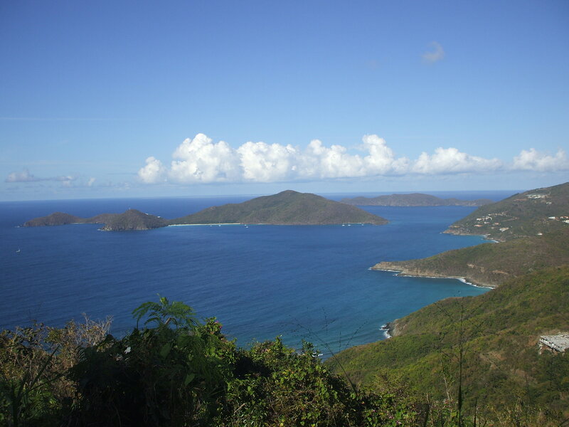 Island Bay Landscape