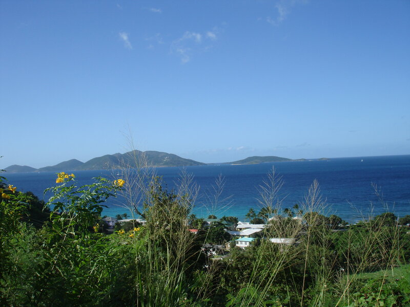 Island Bay with Houses