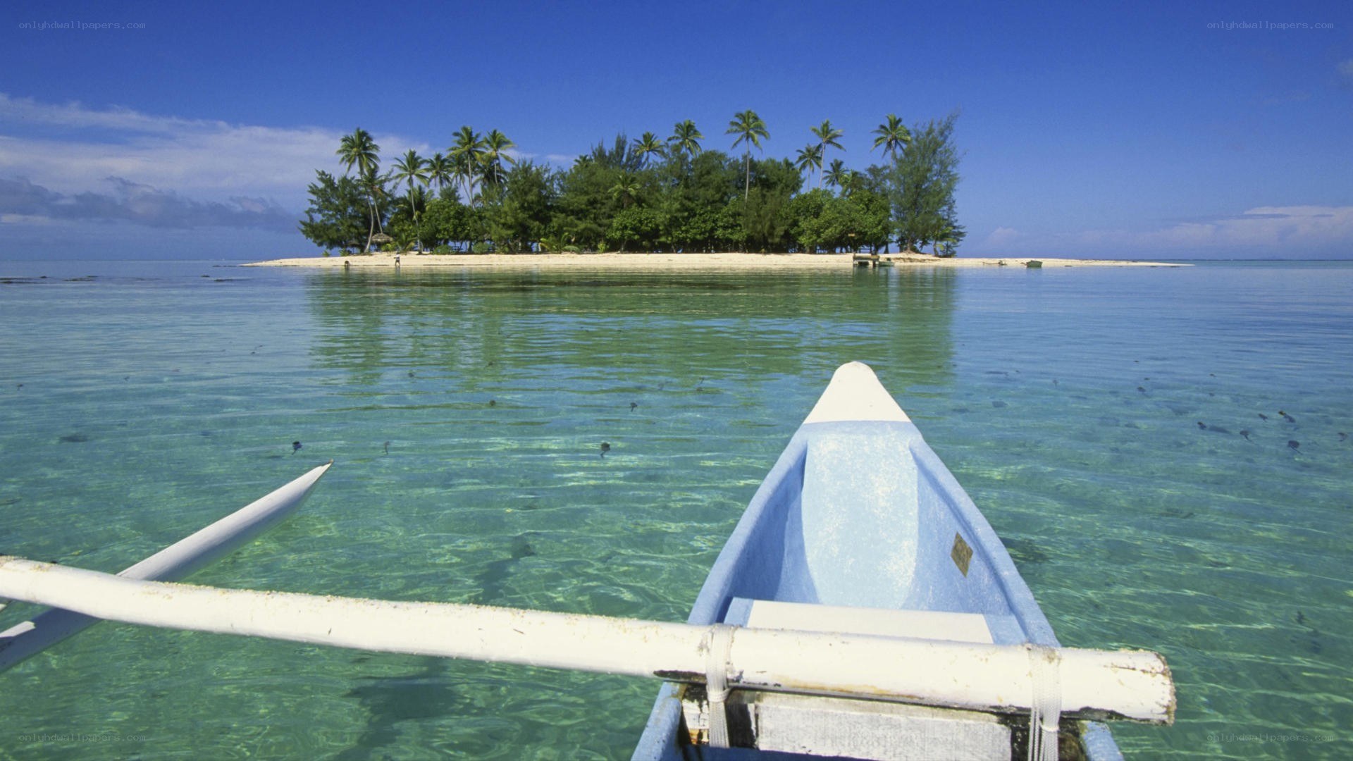 Island from a boat view