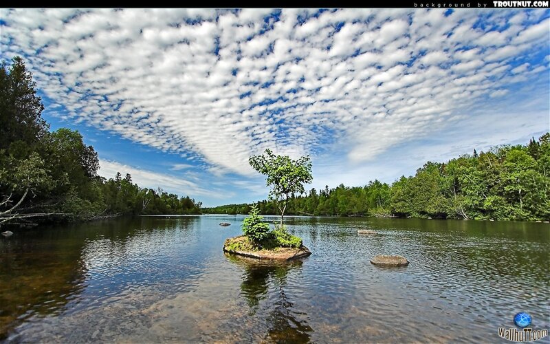 Island in a calm lake