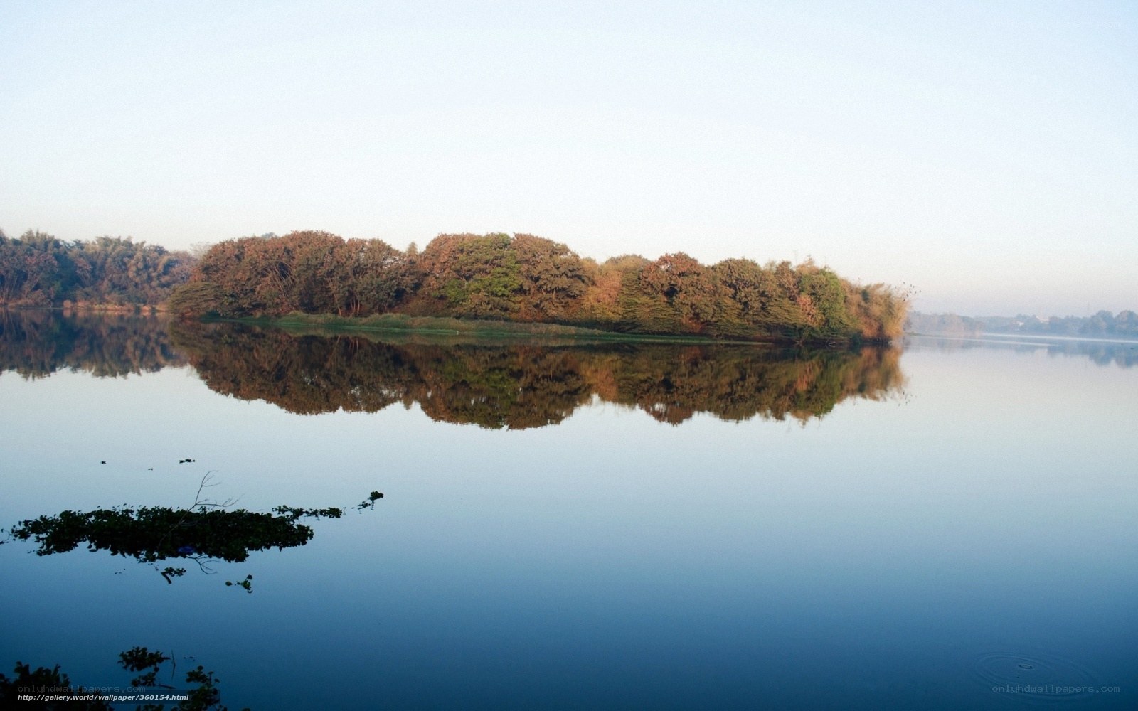 Island in a calm lake