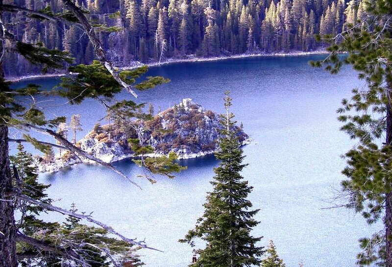 Island in a forest lake