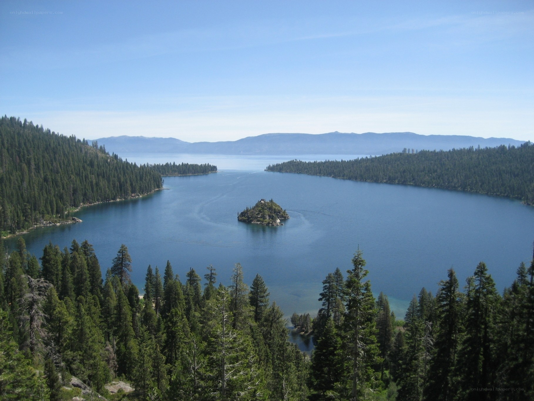 Island in a forested lake