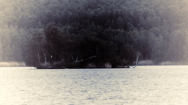 Island in a lake surrounded by forest