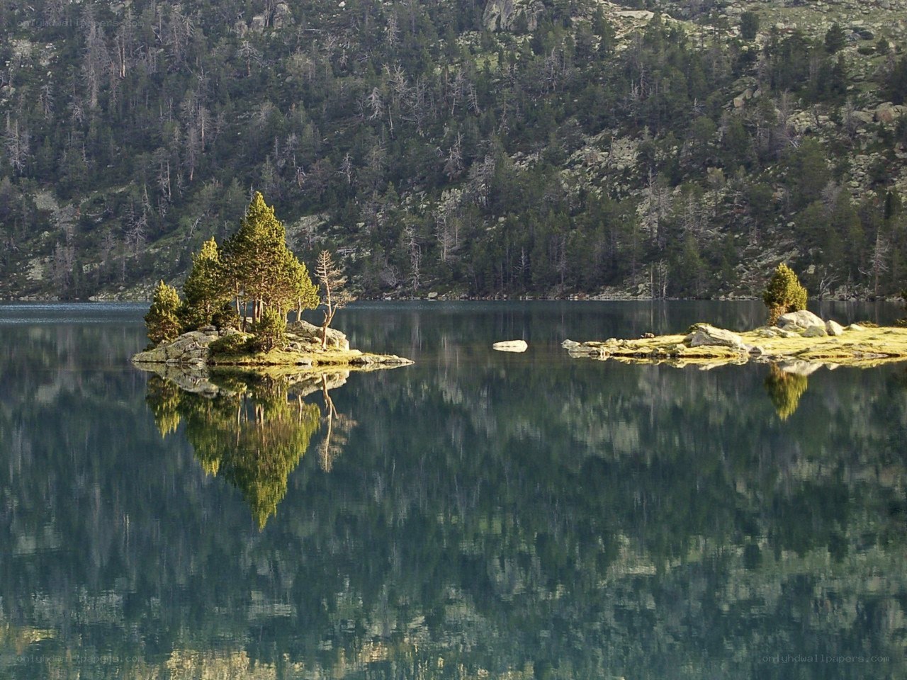 Island in a mountain lake