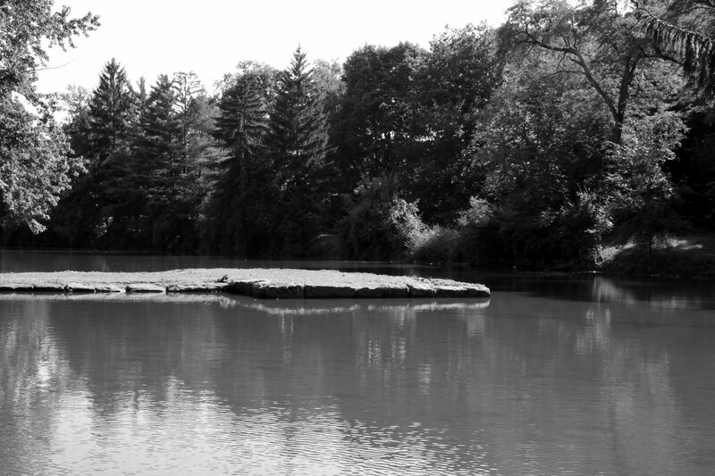 Island in a Pond