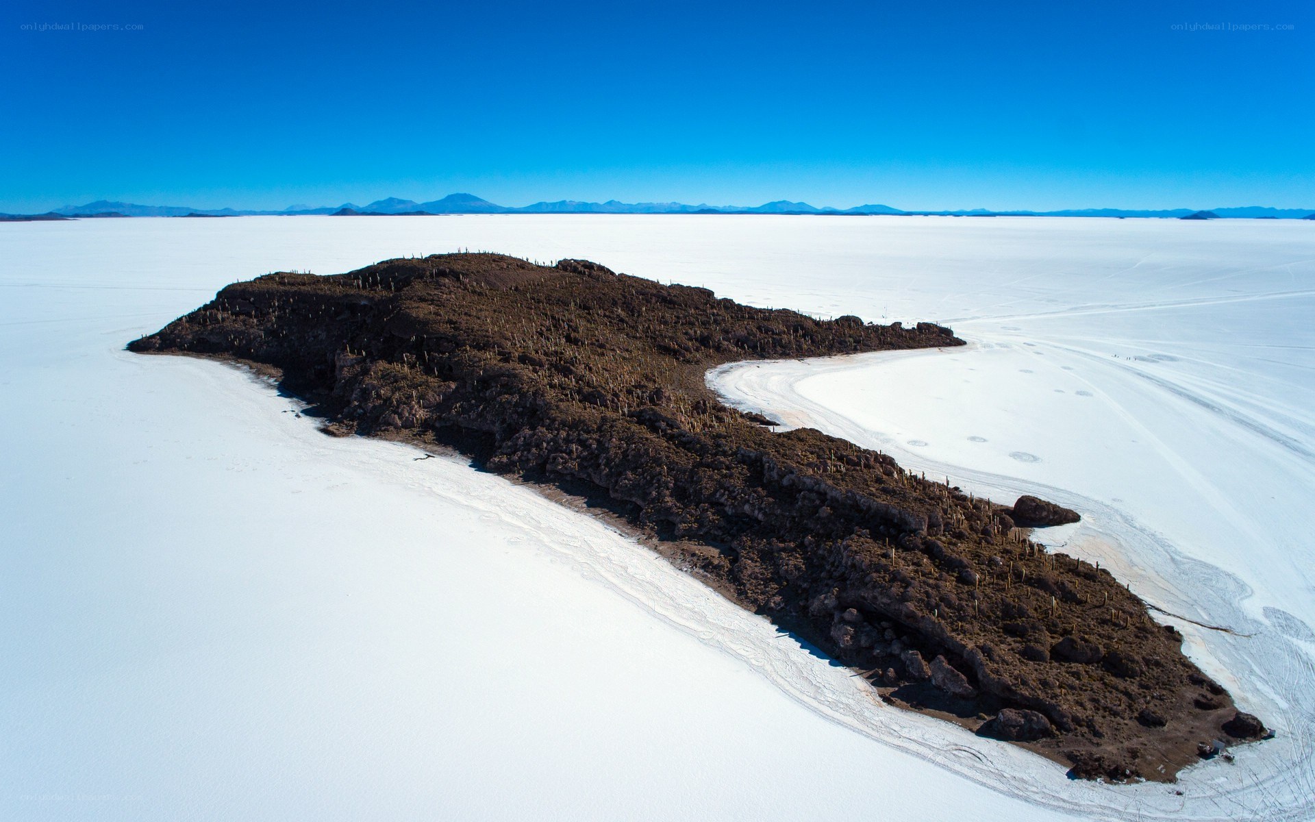 Island in a salt flat