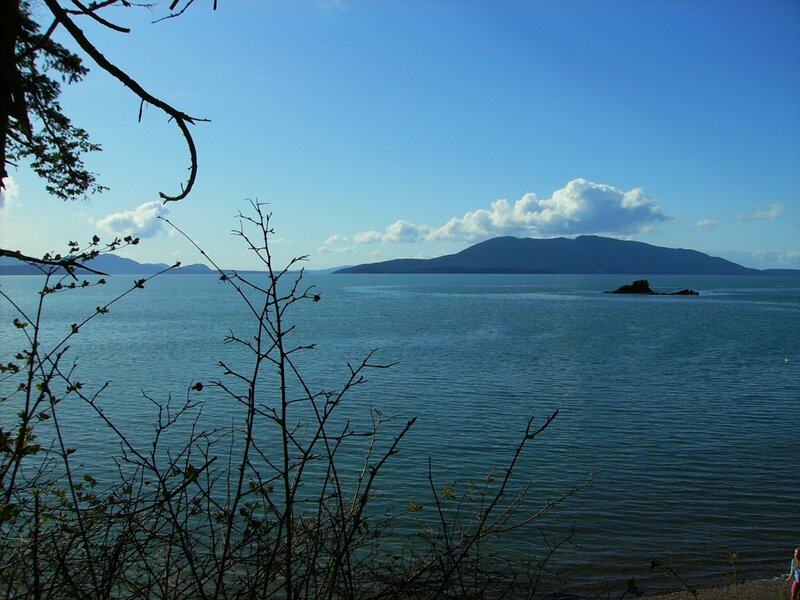 Island in Blue Water
