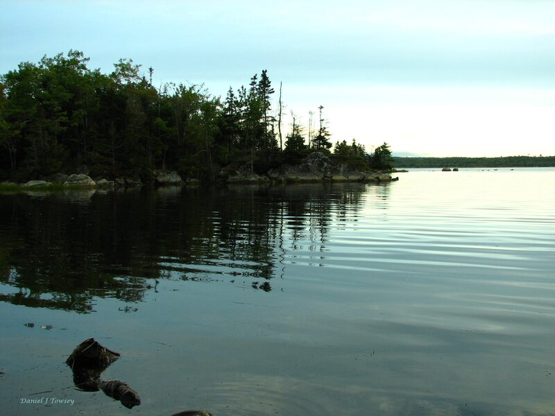 Island in Calm Water — Green