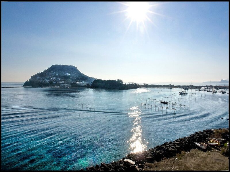 Island in Coastal Bay