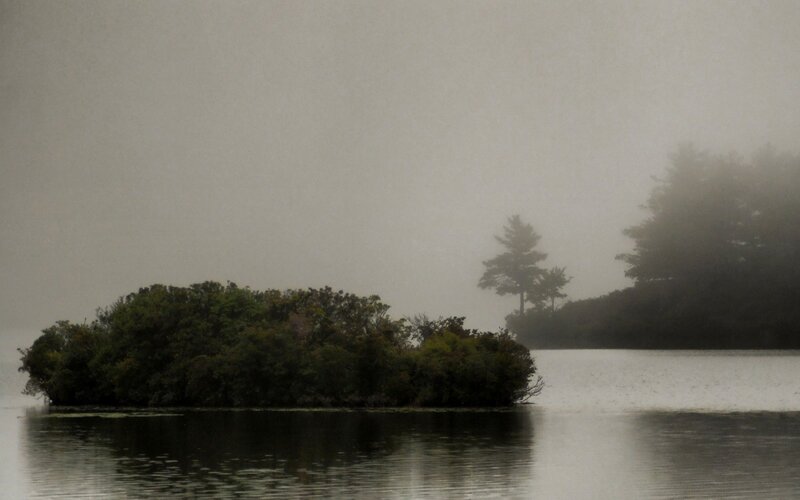 Island in Foggy Lake