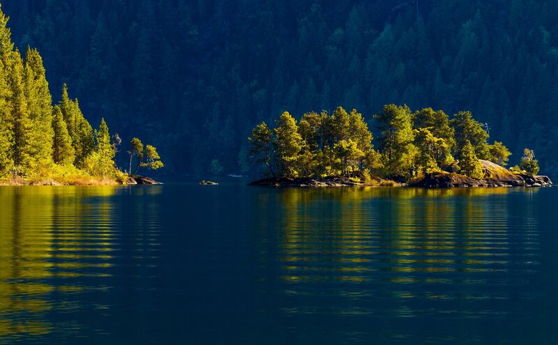 Island in Forest Lake — Blue