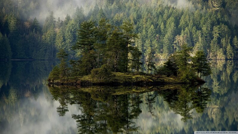 Island in Forest Lake — Green