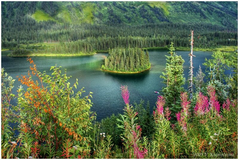 Island in Forest Lake