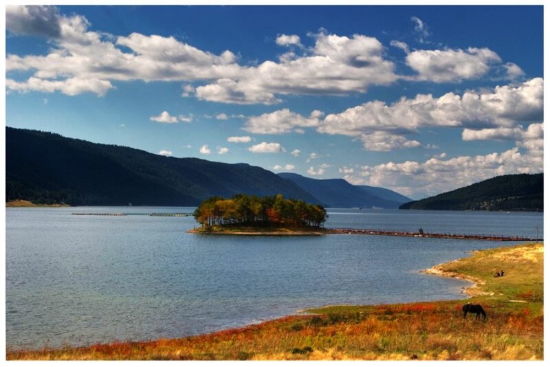 Island in Lake with Horse