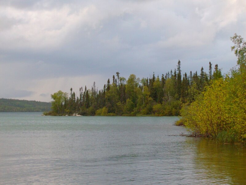 Island in Lake with Trees