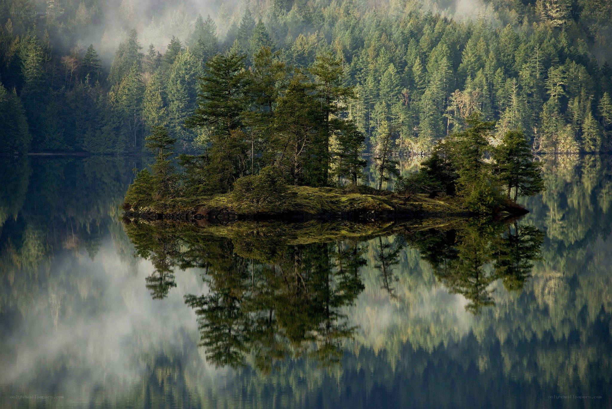 Island in misty forest lake