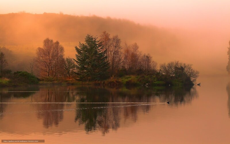 Island in Misty Lake — Orange