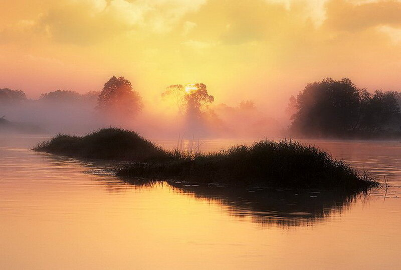 Island in Misty River