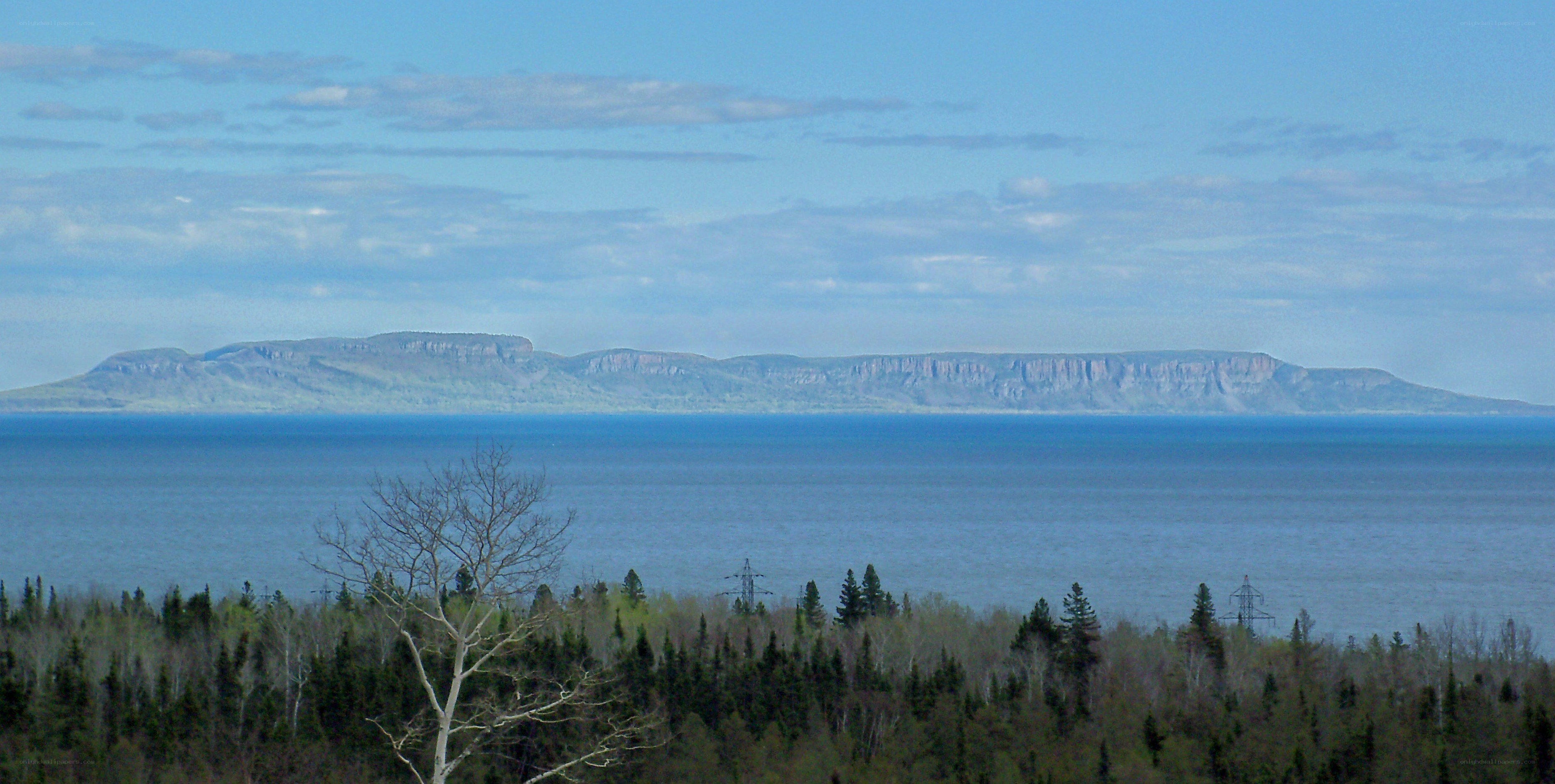Island in the bay