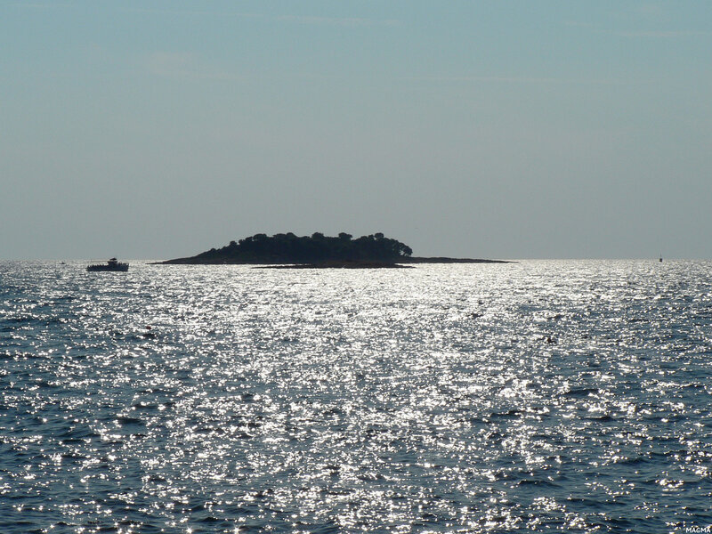 Island in the sunlit sea