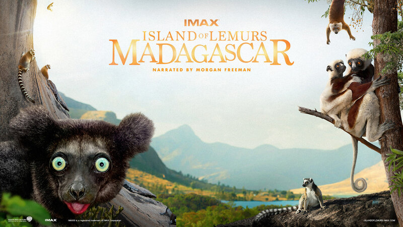 Island of Lemurs Madagascar