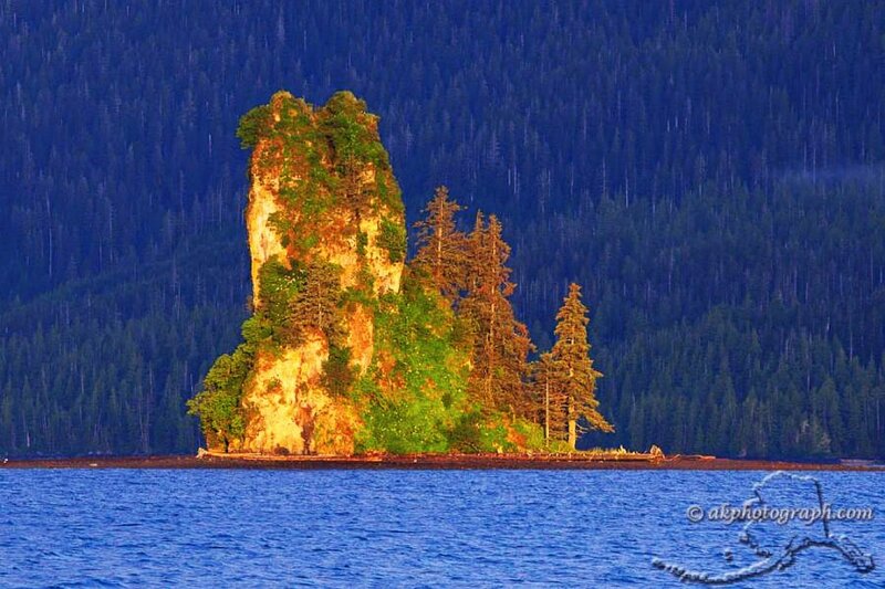Island rock formation in forest