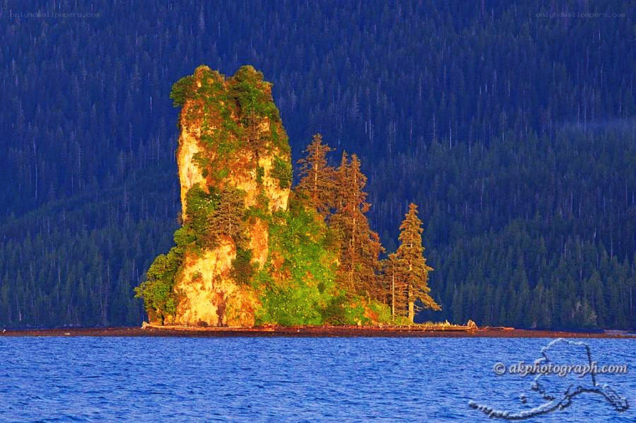 Island rock formation in forest