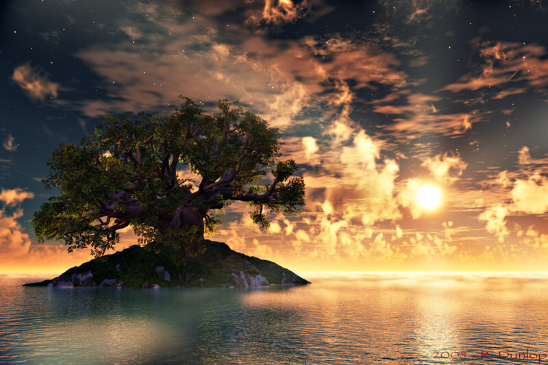 Island tree at sunset