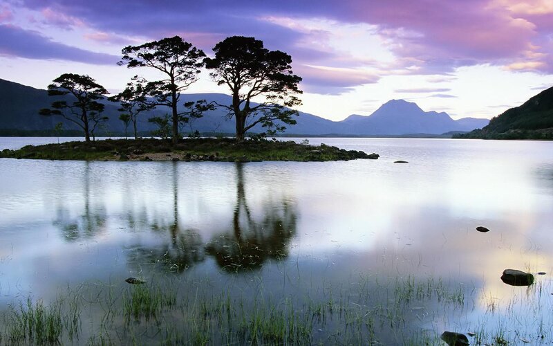 Island trees at sunset