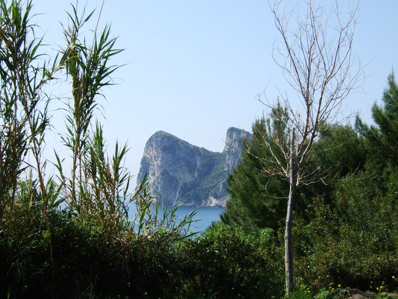 Island view through foliage